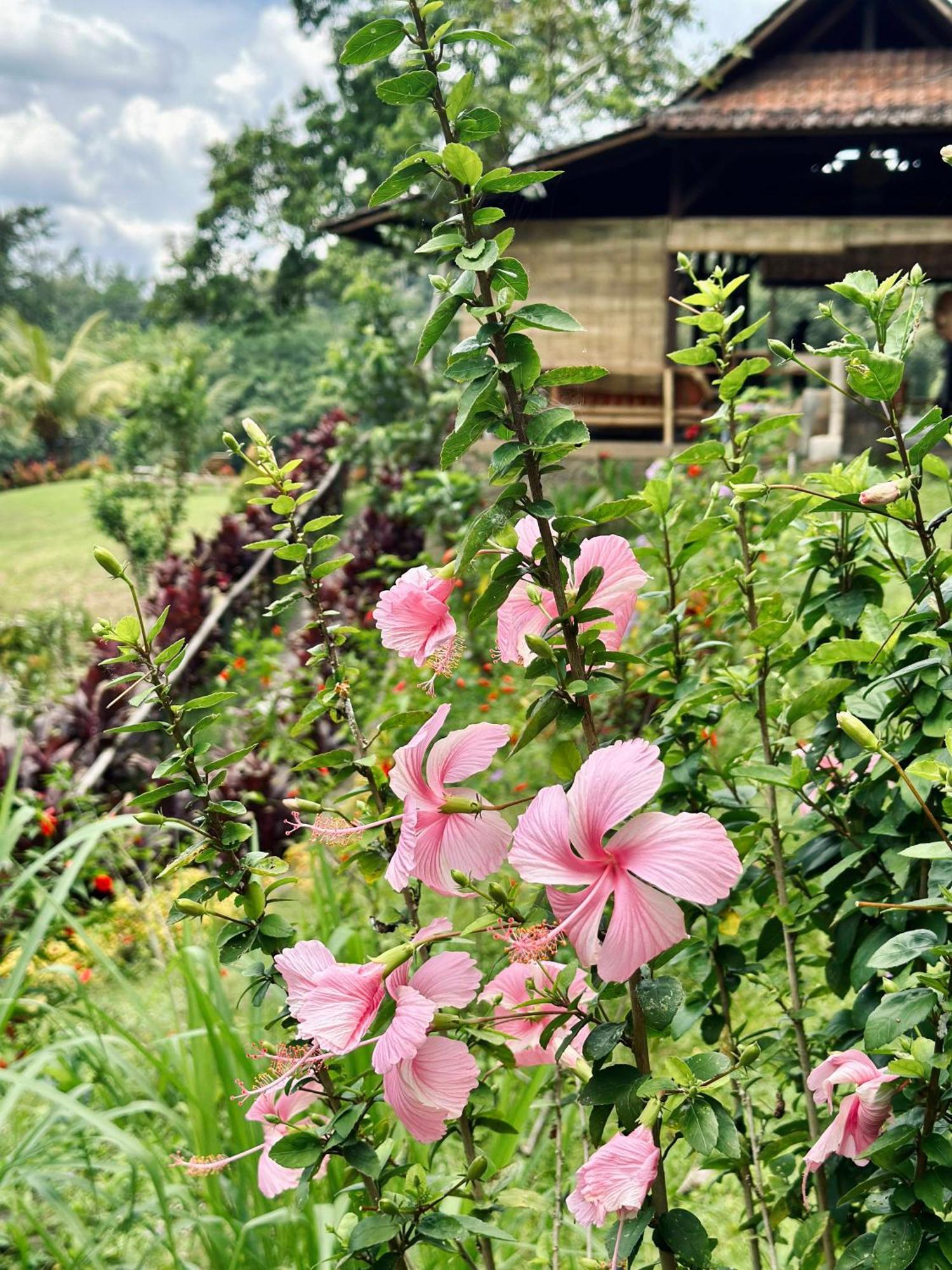 Sang Tirta Resort Penebel Exterior foto